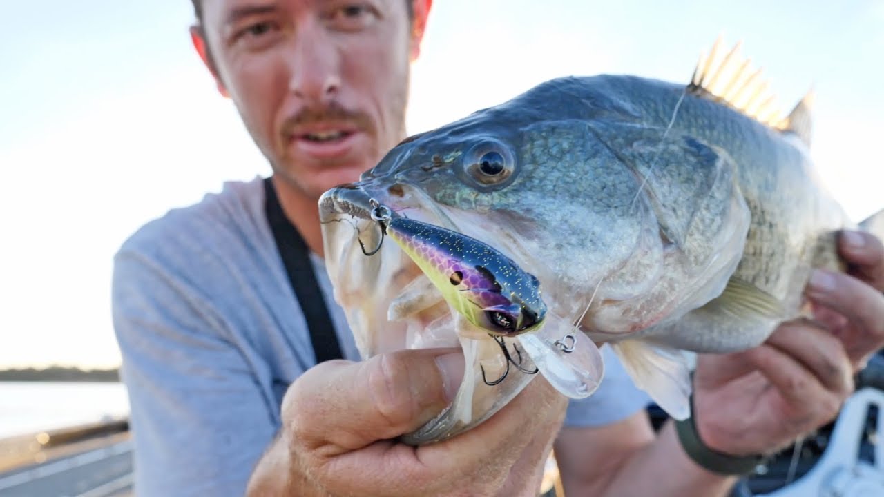 Bass Fishing with NEW GOOGAN SQUAD MINI RECON Crankbait