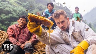 Nepal’s Mad Honey That Makes You Hallucinate (insane hunt to get it)