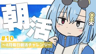 【#朝活】＃10 朝になるとベッドにいるけど夜どこで寝てるかわからない猫の寝場所がついに判明した【#春雨麗女 #あおぎり高校】