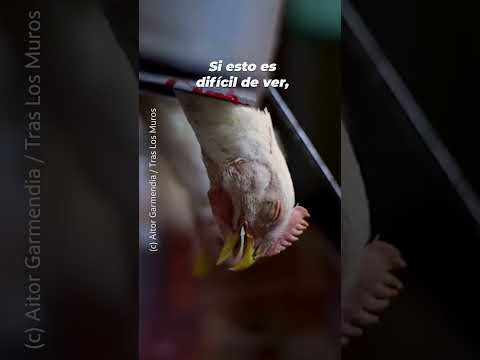 ¿Cuánto tiempo contuviste las lágrimas?