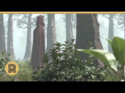CGI VFX & Animation Breakdown "Flora-the real threat" by SFFS | The Rookies