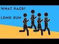 Marathon Training Techniques and Experts
