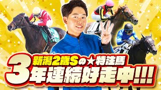 【新潟2歳S 2025】キーワードは瞬発力と筋肉量！素質際立つ好馬体の持ち主に自信の本命◎！【競馬予想】