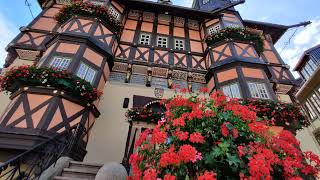 Livestream von Stadtportal Wernigerode