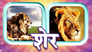 शेर - Lion | Guess and Learn Animals Names for Kids | Educational Videos for Children