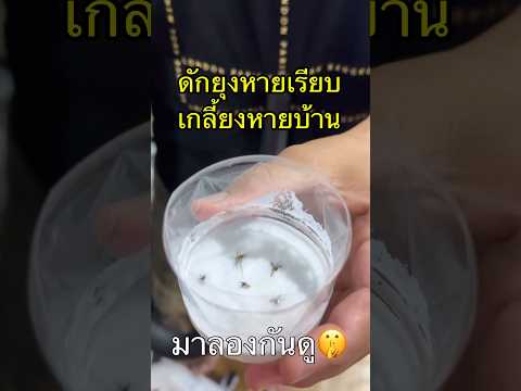 แชร์ไอเดียขวดดักยุง🦟ยุงหายเรียบ #กำจัดยุง #ขวดดักยุง