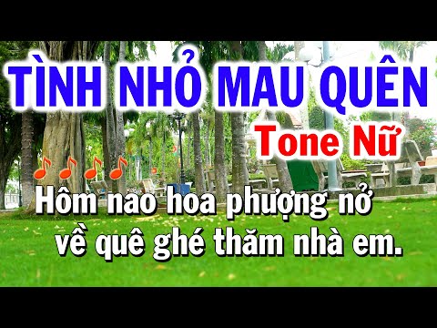 Karaoke Tình Nhỏ Mau Quên Tone Nữ Cha Cha Dễ hát ( La # Thứ ) Nhạc Sống Tú Anh