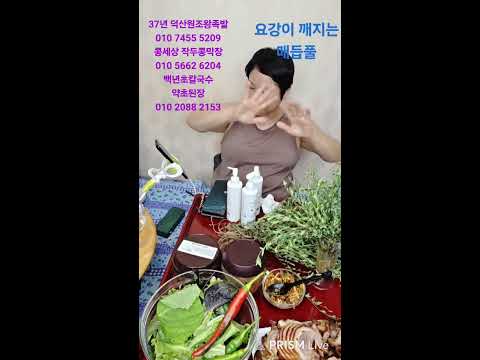 산골맛집김선생 마디풀 매듭풀 간 야맹증 혈관건강 이뇨 요강을 뚫는 풀