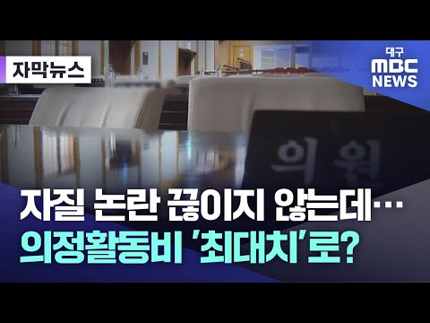 [자막뉴스] 자질 논란 끊이지 않는데···의정 활동비 '최대치'로? (2024.02.21 뉴스데스크) | 대구MBC뉴스