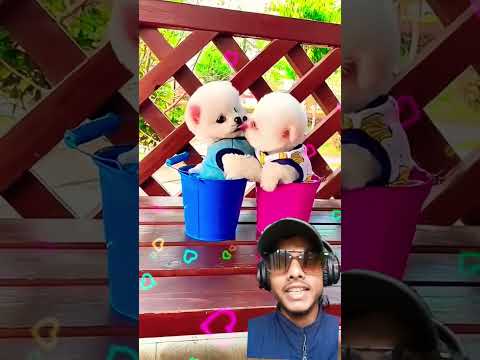 #All My Pets, One Big Hug#Caught with a Handful of Happiness#Fluffy Squad Goals #sehar