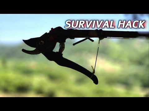 Genius Survival Tool – Build a Powerful Tree Pruner with Just a Stick and Paracord!