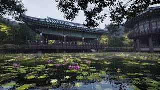 Rain sounds falling on the palace pond for a cool summer sleep