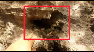 ÖRDEK İŞARETİNİN BİR ÇOK YERDE HAZİNESİ