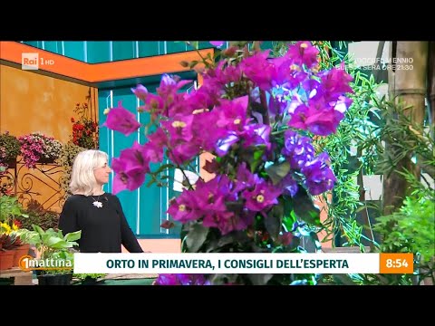 Orto e giardino in primavera - Unomattina – 20/03/2024