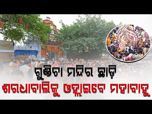 'ଗୁଣ୍ଡିଚା ମନ୍ଦିର ଛାଡ଼ି ଶରଧାବାଲିକୁ ଓହ୍ଲାଇ ଆସିବେ ଚତୁର୍ଦ୍ଧା ମୂରତି' || BADA KHABAR TV