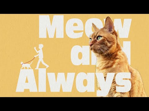 【MV】Meow and Always