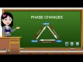 Phase Changes and Related Processes