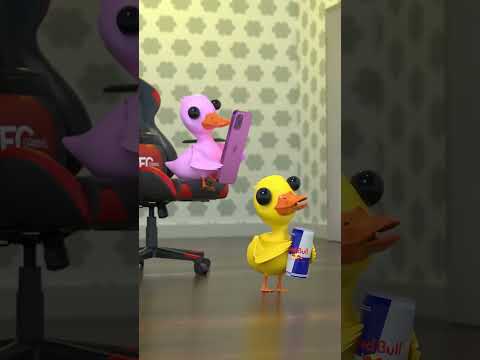 Funny duck using phone #animation #memes #duck
