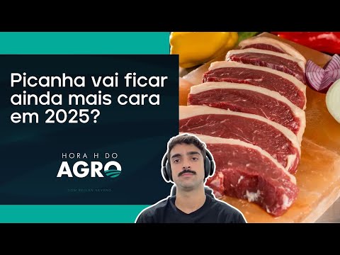 Saiba quando o preço do boi gordo vai voltar a subir! | HORA H DO AGRO