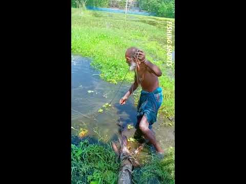 VILLAGE GRANDPA FISHING IN KRISHNA VILLAGE POND 