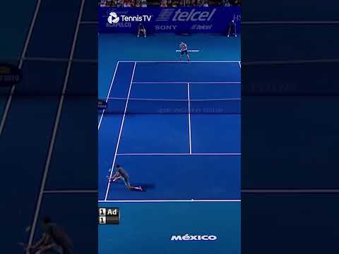 Murray vs Dimitrov MADNESS!