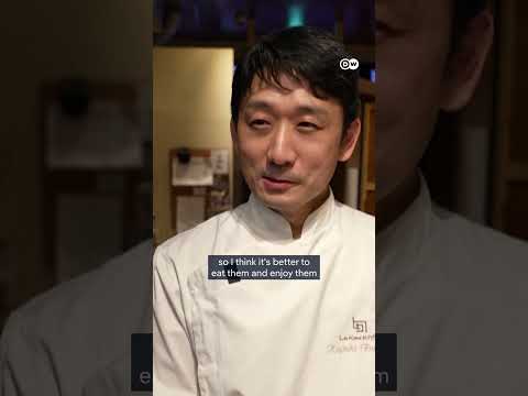 Japan's deadly bear crisis sparks culinary trend | DW News