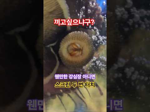 약간 같이 하고싶으시죠? #해학