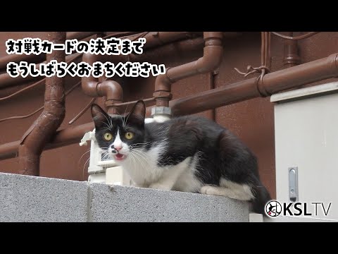 第61回全国社会人サッカー選手権関西大会｜Eブロック2回戦【9】