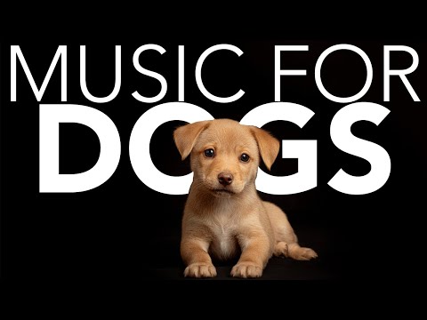 10 HOURS of Dog Relaxing Music 💖🦮 Peaceful Music for Dogs: Stress-Free Sleep and Relaxation