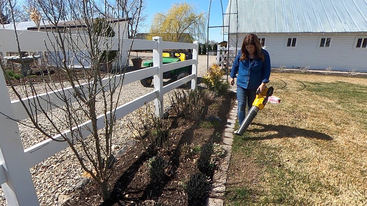 Pruning My Coralberry & Flower Bed Maintenance!