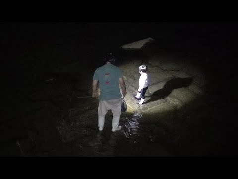テナガエビ漁と薪とキスちょい投げと海と料理