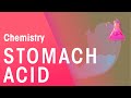 Understanding Stomach Acid and Its Functions
