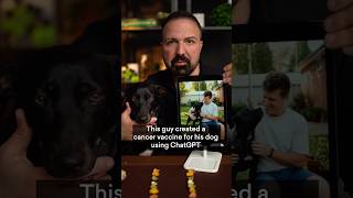 How this guy created a cancer vaccine for his dog with ChatGPT