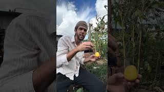Адская кухня по деревенский