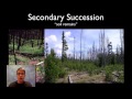 Ecological Succession Concepts