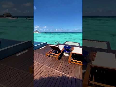 Survival Skills: Part(144)SIMPLE and USEFULL 😂😅#bushcraft #camping #outdoors