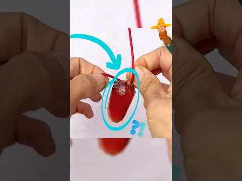 Trucos de vida súper útiles que nadie te contó!