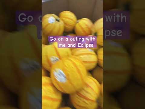 Go on an outing with me!