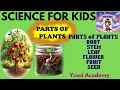 Plant Structure and Functions Assessment