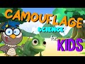 Camouflage Strategies in Animals