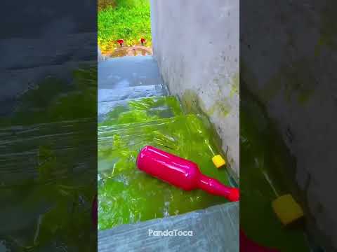 Breaking glass bottle Crushing Crunchy & Soft Things 😋😋😎 #asmr #asmrsounds #satisfying