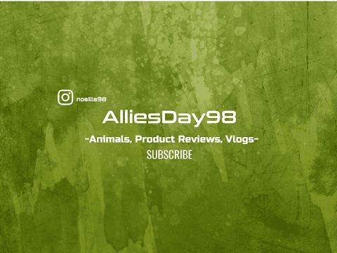 AlliesDay98 Live Stream
