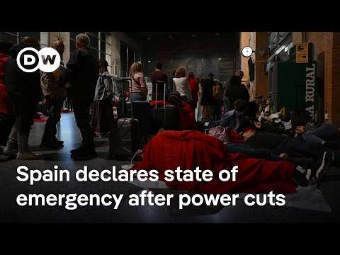 Energy analyst: 'Grid resilience' requires 'efficiency' and a 'distributive' energy supply | DW News