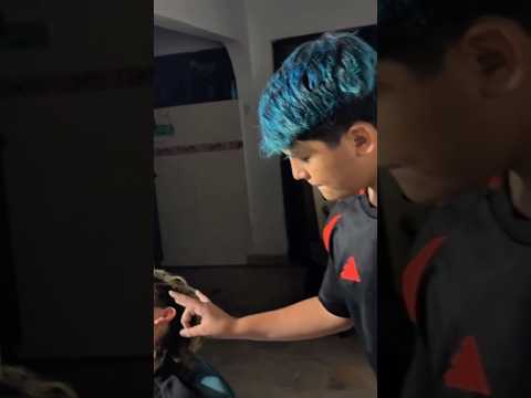 LA CAJA MALDITA “Nos asustaron”’👹 VIDEO COMPLETO EN YOUTUBE: familiarecocha