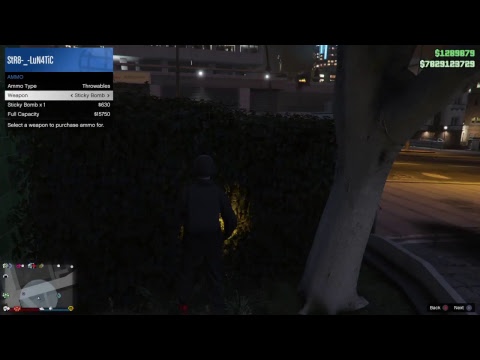 GTA 5 Thank You For 9k!