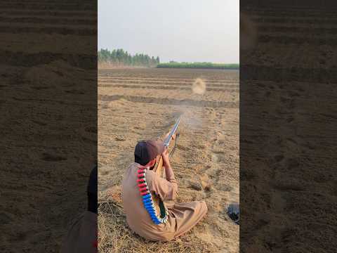 Nice shooting