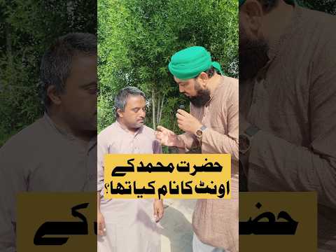 Hazrat Muhammad's Came | حضرت محمد کے اونٹ کا نام