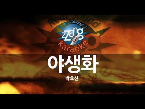 [짱가라오케/-1키/노래방] 박효신(Park Hyo Shin)-야생화(Wild Flower) KPOP Karaoke [ZZang KARAOKE]
