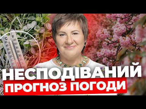 Весна з прохолодою І Чи чекати снігу І Точний прогноз НАТАЛКИ ДІДЕНКО