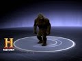 Identifying a Mysterious Creature